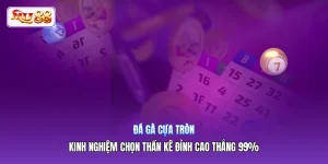 Đá Gà Cựa Tròn | Kinh Nghiệm Chọn Thần Kê Đỉnh Cao Thắng 99%