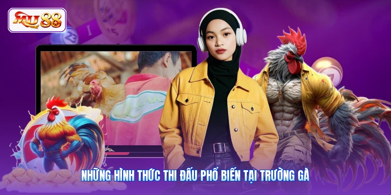 Những hình thức thi đấu phổ biến tại trường gà